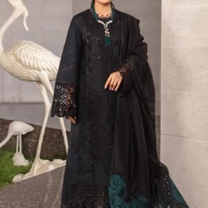 ZOYA from Rang Rasiya