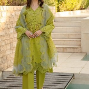 FAREESIA from Rang Rasiya