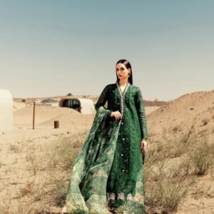 D8 from Noor By Saadia Asad