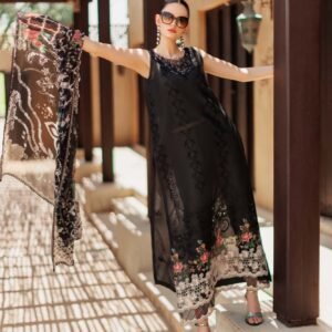 D6 from Noor By Saadia Asad