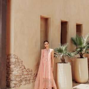 D10 from Noor By Saadia Asad