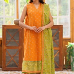 3 Piece Cotton Lawn Suit from kayseria